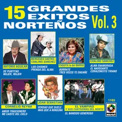 15 Grandes Éxitos Norteños, Vol. 3