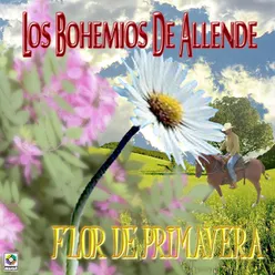 Flor De Primavera