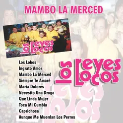 Mambo La Merced