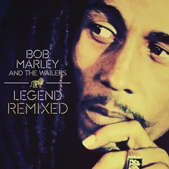 Three Little Birds Stephen Marley and Jason Bentley Remix