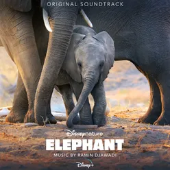 Elephant Original Soundtrack