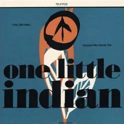 One Little Indian - Greatest Hits-Vol. 2
