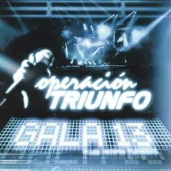 Operación Triunfo Gala 13 / 2005