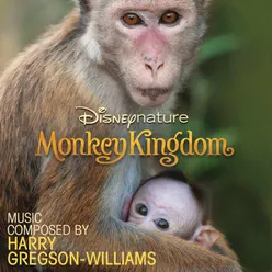 Disneynature: Monkey Kingdom Original Motion Picture Soundtrack