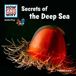 Secrets Of The Deep Sea - Part 11