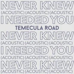 Never Knew I Needed You-Acoustic