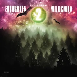 Evergreen Wildchild 2