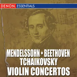 Violin Concerto in E Minor, Op. 64: II. Andante