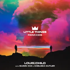 Little Things pluko Remix