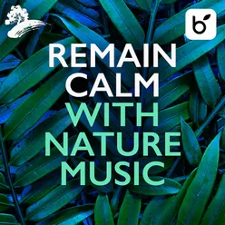 Remain Calm With Nature Music