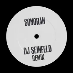 Sonoran DJ Seinfeld Remix