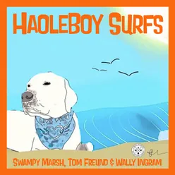 HaoleBoy Surfs