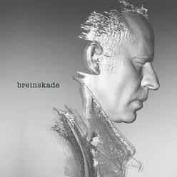 Breinskade