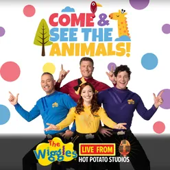 Live From Hot Potato Studios: Come & See The Animals!