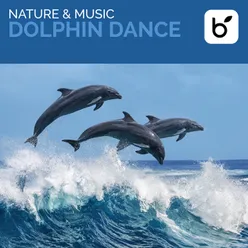 Nature & Music: Dolphin Dance