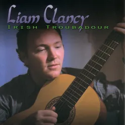 Irish Troubadour