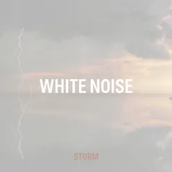 White Noise Storm 1