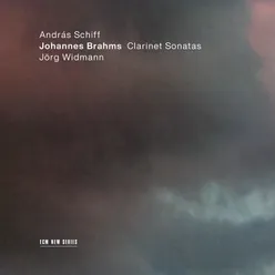 Brahms: Sonata for Clarinet and Piano No. 1 in F Minor, Op. 120 No. 1 - 4. Vivace