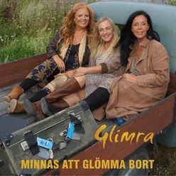 Minnas att glömma bort