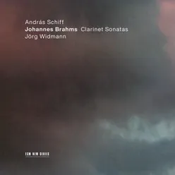 Brahms: Sonata for Clarinet and Piano No. 2 in E Flat Major, Op. 120 No. 2 - 1. Allegro amabile