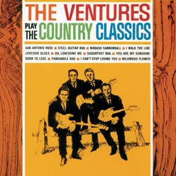 The Ventures Play The Country Classics