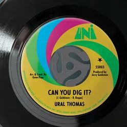 Can You Dig It / I'm A Whole New Thing