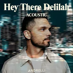 Hey There Delilah Acoustic