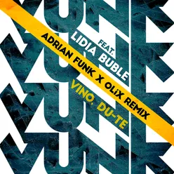Vino, du-te-Adrian Funk & OLiX Remix Extended