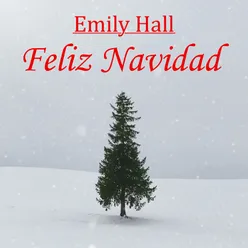 Feliz Navidad Acoustic Cover