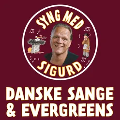 Stenen Slår Smut På Det Danske Vand