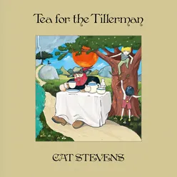 Tea For The Tillerman Remastered 2020