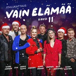 Elämän kokoinen yksinäisyys-Vain elämää kausi 11