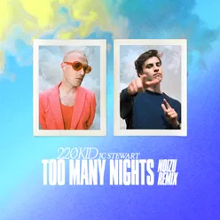 Too Many Nights Noizu Remix