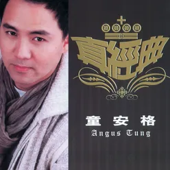 Zhen Jin Dian - Angus Tung