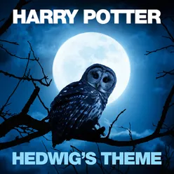 John Williams: Hedwig's Theme From "Harry Potter And The Philosopher's Stone"