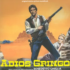 Adios gringo