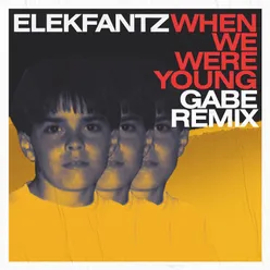 When We Were Young-Gabe Remix