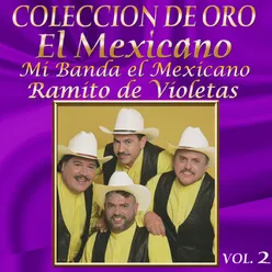 Colección De Oro, Vol. 2: Ramito De Violetas