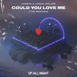 Could You Love Me-The Remixes