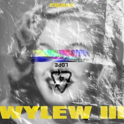 Wylew III