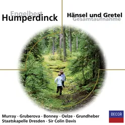 Humperdinck: Hänsel und Gretel / Act 1 - "Wenn sie sich verirrten im Walde dort"