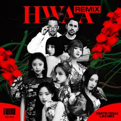 HWAA-Dimitri Vegas & Like Mike Remix