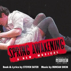 The Song Of Purple Summer-Original Broadway Cast Recording/2006