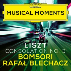 Liszt: Consolations, S. 172: No. 3 Lento placido in D Flat Major (Transcr. Milstein for Violin and Piano) Musical Moments