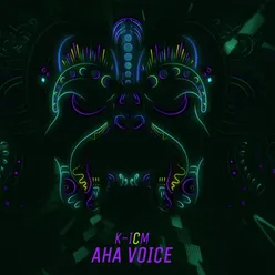 Aha Voice