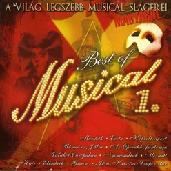 Best Of Musical 1.-A Világ Legszebb Musical Slágerei Magyarul