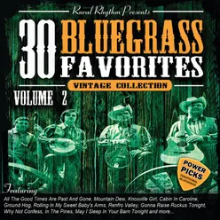 30 Bluegrass Favorites Power Picks: Vintage Collection-Vol. 2