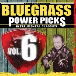 Bluegrass Power Picks: Instrumental Classics-Vol. 6