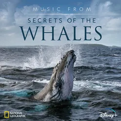 Music from Secrets of the Whales-Original Soundtrack
