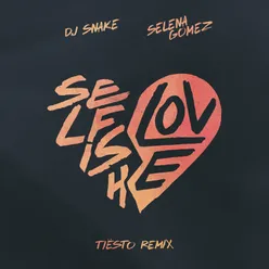 Selfish Love Tiësto Remix